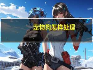 宠物狗怎样处理