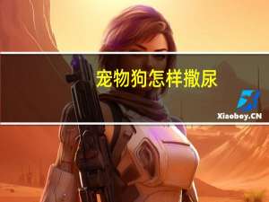 宠物狗怎样撒尿