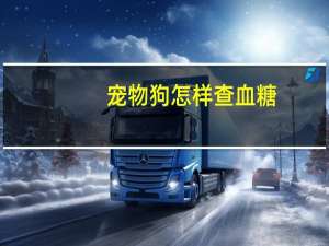宠物狗怎样查血糖