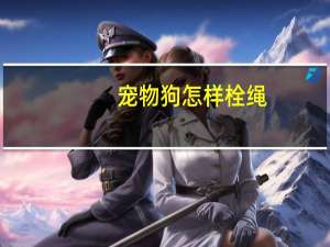 宠物狗怎样栓绳