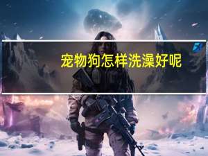 宠物狗怎样洗澡好呢