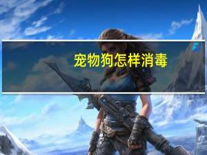 宠物狗怎样消毒