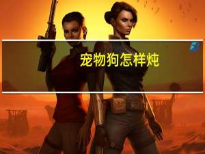 宠物狗怎样炖