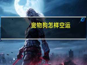 宠物狗怎样空运