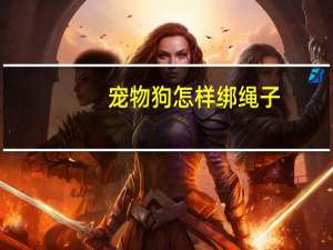 宠物狗怎样绑绳子