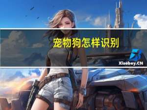 宠物狗怎样识别