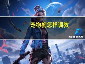 宠物狗怎样调教