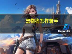 宠物狗怎样转手