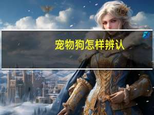 宠物狗怎样辨认