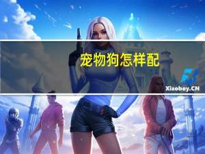宠物狗怎样配