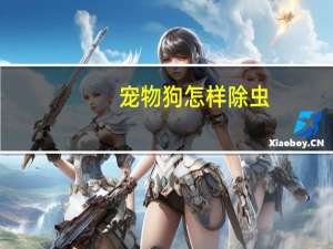 宠物狗怎样除虫