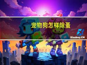宠物狗怎样除蚤