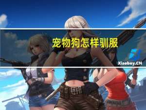 宠物狗怎样驯服