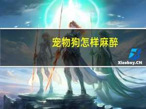 宠物狗怎样麻醉