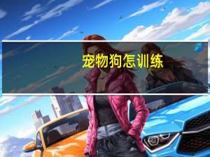 宠物狗怎训练