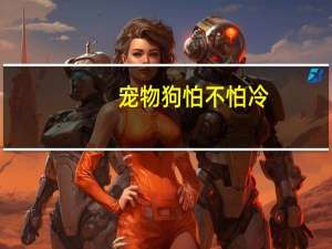 宠物狗怕不怕冷