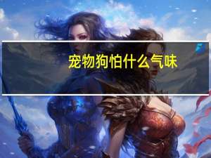 宠物狗怕什么气味