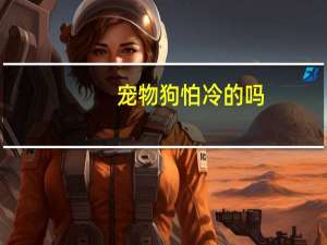 宠物狗怕冷的吗