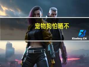 宠物狗怕晒不