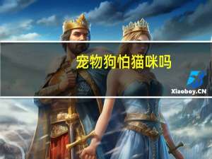 宠物狗怕猫咪吗