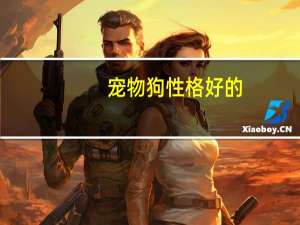 宠物狗性格好的