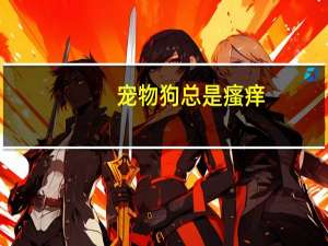 宠物狗总是瘙痒