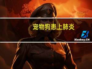 宠物狗患上肺炎