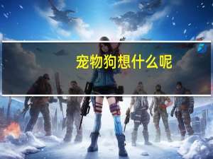 宠物狗想什么呢
