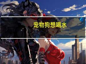 宠物狗想喝水