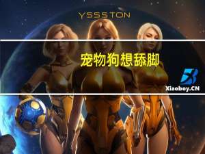 宠物狗想舔脚