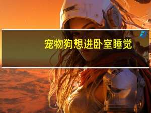 宠物狗想进卧室睡觉