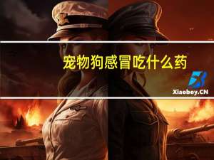 宠物狗感冒吃什么药