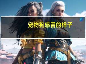 宠物狗感冒的样子