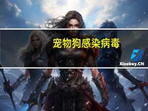 宠物狗感染病毒