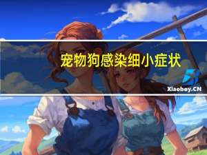 宠物狗感染细小症状