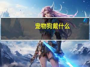 宠物狗戴什么