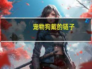 宠物狗戴的链子