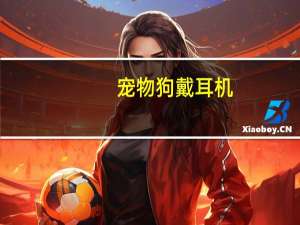 宠物狗戴耳机