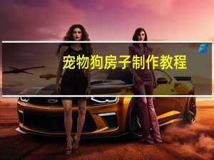 宠物狗房子制作教程