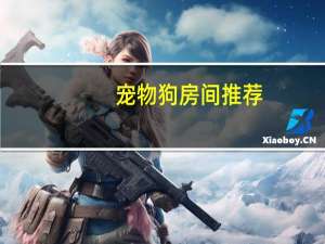 宠物狗房间推荐