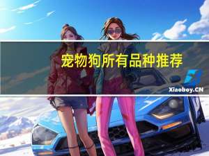宠物狗所有品种推荐