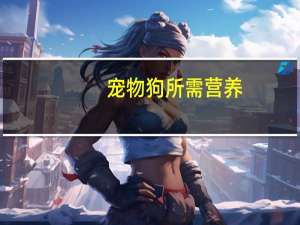 宠物狗所需营养