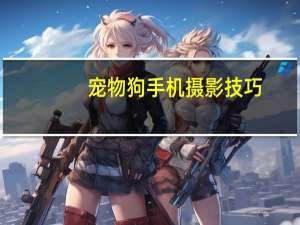 宠物狗手机摄影技巧