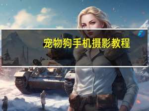 宠物狗手机摄影教程