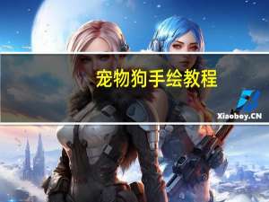 宠物狗手绘教程