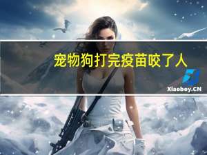 宠物狗打完疫苗咬了人