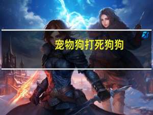 宠物狗打死狗狗