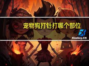 宠物狗打针打哪个部位