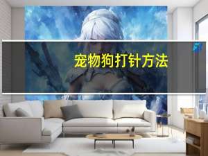 宠物狗打针方法