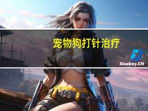 宠物狗打针治疗